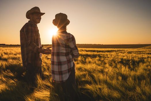 Man and woman are working together in partnership. They are cultivating barley.