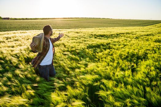 Farmer is cultivating barley. He is satisfied because of good season.