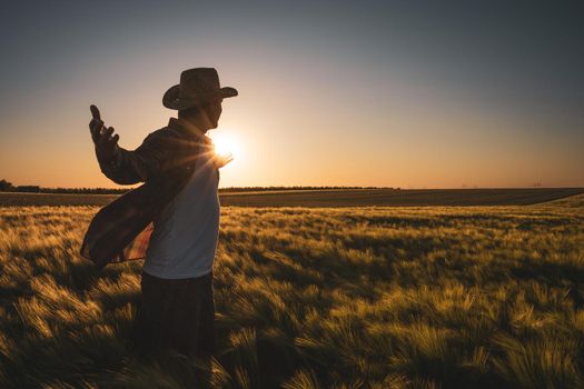 Adult man is cultivating barley on his land. He is satisfied because of good progress of crops.