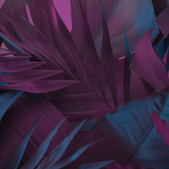 floral tropical background made with leaves and blue and red lights. creative idea