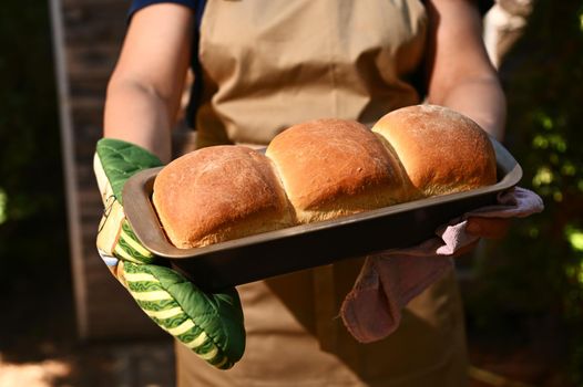 Close-up. Cropped image of a housewife, chef pastry wearing a beige kitchen apron and holding a baking container with hot freshly baked crusty homemade whole grain bread, standing in rustic background