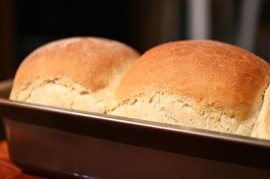 Still life. Food composition. Cropped view of a baking dish with freshly baked hot whole grain bread, on a rustic wooden background with copy ad space for advertising text. Still life. Food composition.