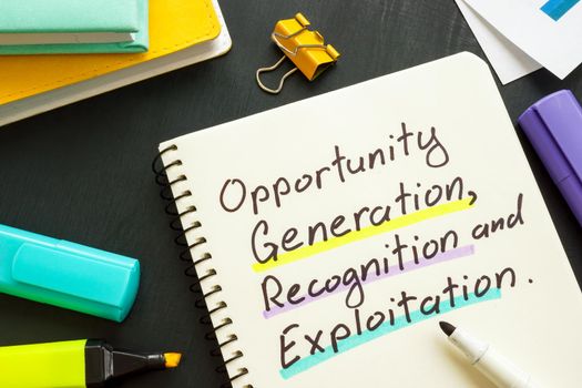 Marks about opportunity generation recognition and exploitation on page.