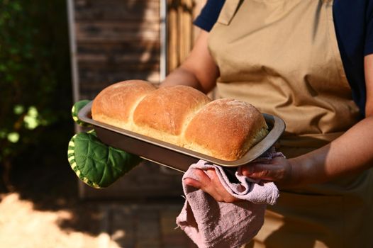 Cropped image of a housewife, chef pastry wearing a beige kitchen apron and holding a baking container with hot freshly baked crusty homemade whole grain bread, standing in rustic background