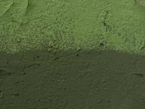 Wall Painted Two Tone. Texture background of two tones: green and light green with a minimal concept.