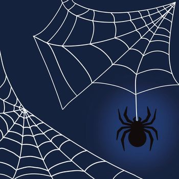 Web and spider. Illustration for halloween
