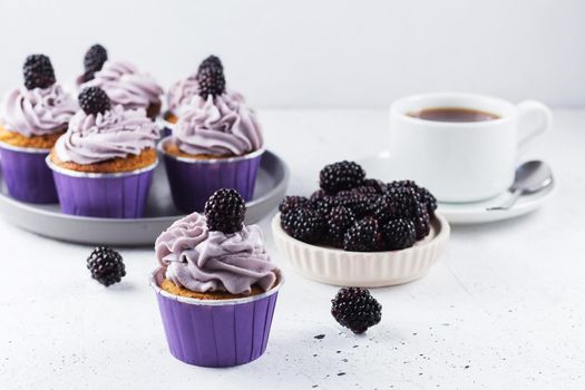 Delicious blackberry cupcake on a gray background with berries, tea and cupcakes in the background