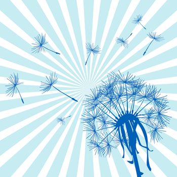 Blue dandelion with flying seeds over a sunburst background