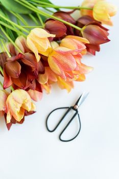 A bouquet of fresh red-yellow tulips in a green vase on the table along with scissors. Place for an inscription