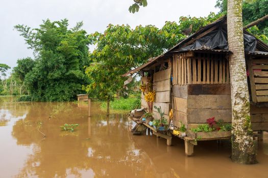 Isolated hut due to the flooding of the river in the municipality of El Rama, South Caribbean of Nicaragua