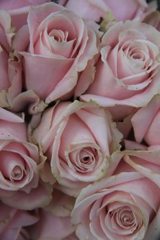 Pale pink roses in a floral wedding arrangement