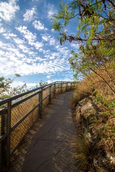 hiking nature views on diamond head honolulu hawaii