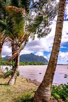 kualoa ridge scenic mountain and beach views