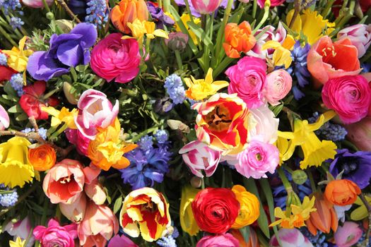 Spring Flowers in a multicolored mixed bouquet