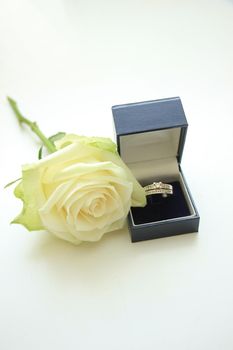 Engagement rings in box and white rose