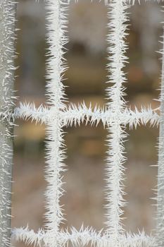 Hoarfrost on a gate in a winter forest