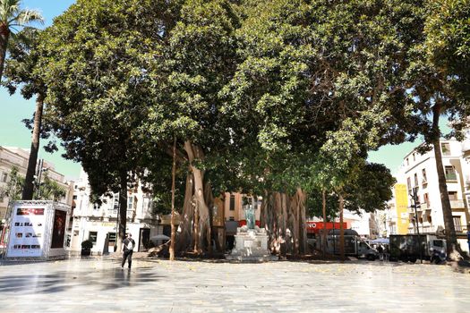 Cartagena, Murcia, Spain- July 17, 2022: Beautiful San Francisco Square in Cartagena on a sunny day of summer