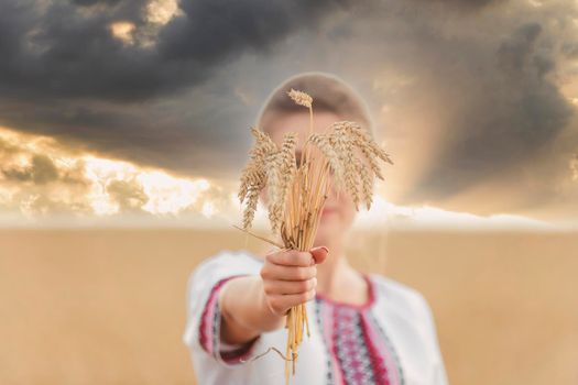 girl with wheat in her hands against the background of a field and a sunset sky