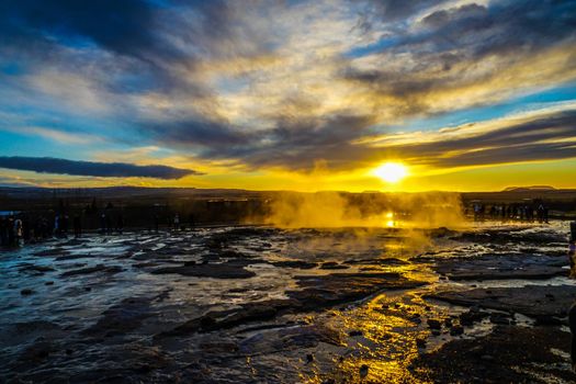 Gay seal sponsored and morning ray (Iceland). Shooting Location: Iceland, Lay Cavik