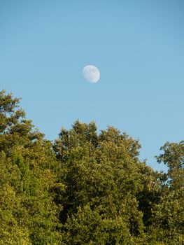 moon on the vineyard in the italian counstryside