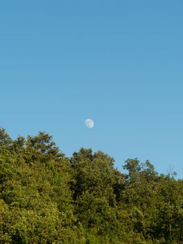 moon on the vineyard in the italian counstryside