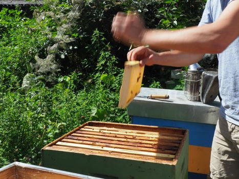 Beekeeper working with bees and beehives on the apiary. Beekeeping concept. Beekeeper harvesting honey Beekeeper on apiary.