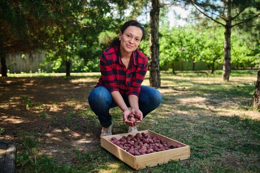 Charming multiethnic woman, successful agriculturist, eco farmer holding a handful of harvested crop of organic potatoes and cutely smiling looking at the camera. Horticulture, gardening, agribusiness