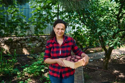 Pleasant multiethnic woman gardener in plaid shirt, carrying a wooden crate of harvest crop of organic potatoes, for sale at local farmers market. Gardening. Eco farming. Vegetable delivery concept