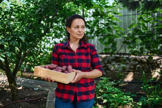 Beautiful Hispanic woman amateur gardener in plaid shirt, holding a wooden box of harvest crop of organic potatoes, for sale at local farmers market. Gardening. Eco farming. Vegetable delivery concept