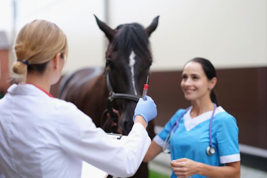 Two veterinarians are examining horse holding test tube for biological analysis. Horse DNA testing and blood test for doping concept