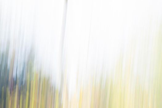 Abstract wood trees background. Camera low shutter panning shot