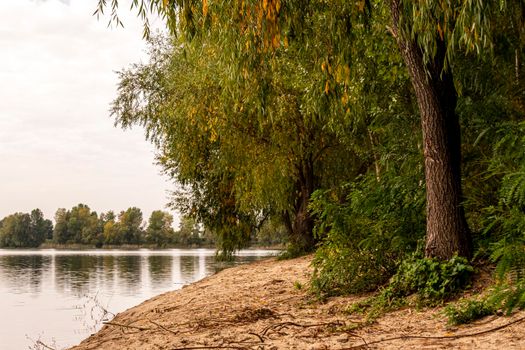 Ukraine, Kyiv - 9 October 2020:: Trees near lake Nebrezh