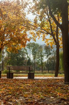 Bila Tserkva, Ukraine - 11 october 2019. Bench and colorfull tree in small park near river Ros