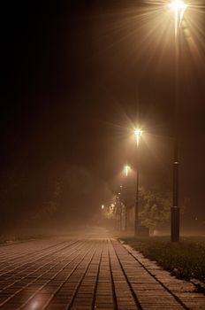 Morning fog in park near river Ros. Bila Tserkva Ukraine 2019