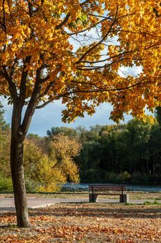 Bila Tserkva, Ukraine - 11 october 2019. Bench and colorfull tree in small park near river Ros