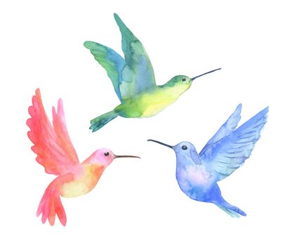 Watercolor tropical green hummingbird isolated on a white background. Sketches set.