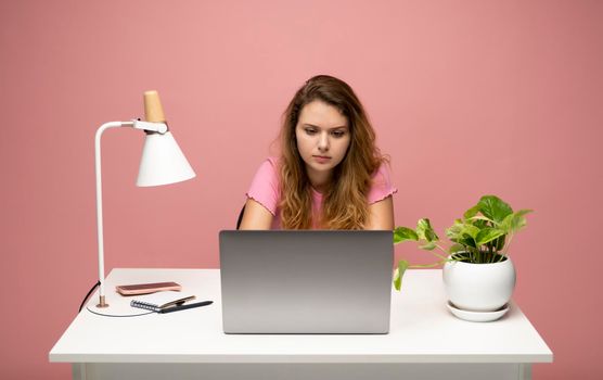 Young freelancer curly woman in a pink t-shirt working with a laptop computer over pink background. Working on a project. Freelance worker