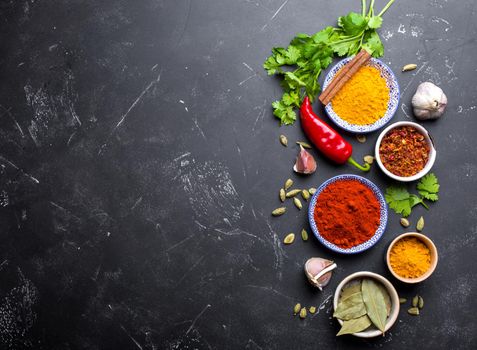 Indian food cooking background. Traditional Indian spices and ingredients. Curry, turmeric, cardamom, garlic, pepper, fresh cilantro, cinnamon. Preparing exotic meal. Top view, space for text