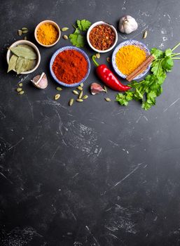 Indian food cooking background. Traditional Indian spices and ingredients. Curry, turmeric, cardamom, garlic, pepper, fresh cilantro, cinnamon. Preparing exotic meal. Top view, space for text