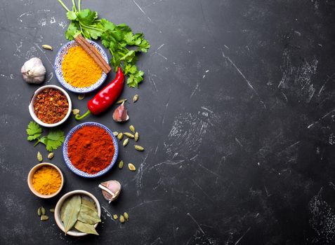 Indian food cooking background. Traditional Indian spices and ingredients. Curry, turmeric, cardamom, garlic, pepper, fresh cilantro, cinnamon. Preparing exotic meal. Top view, space for text