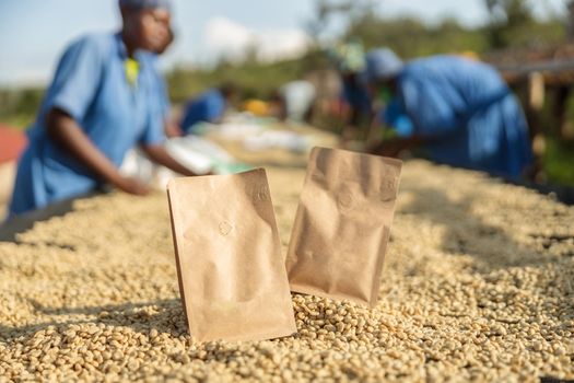 Several paper bags at coffee washing station at farm in Africa region with workers on the background
