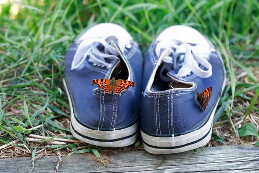 Summer concept. Nice burretflies sit on blue sneakers