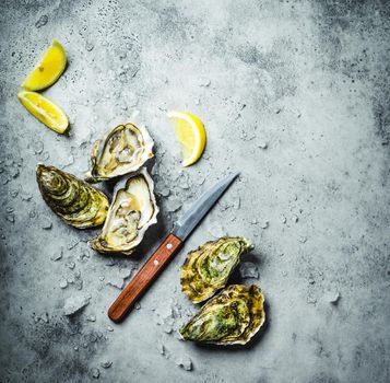 Fresh oysters on ice, knife, lemon wedges. Rustic stone background. Opened fresh raw oysters. Top view. Copy space. Oyster bar. Seafood. Oysters concept. Party food. Space for text. From above