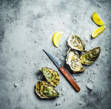 Fresh oysters on ice, knife, lemon wedges. Rustic stone background. Opened fresh raw oysters. Top view. Copy space. Oyster bar. Seafood. Oysters concept. Party food. Space for text. From above