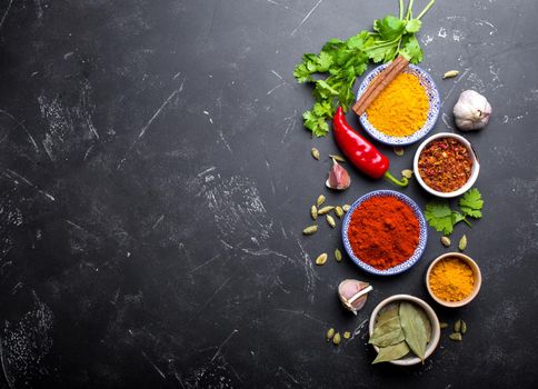 Indian food cooking background. Traditional Indian spices and ingredients. Curry, turmeric, cardamom, garlic, pepper, fresh cilantro, cinnamon. Preparing exotic meal. Top view, space for text