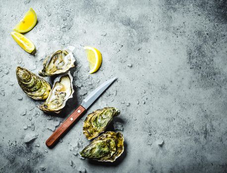 Fresh oysters on ice, knife, lemon wedges. Rustic stone background. Opened fresh raw oysters. Top view. Copy space. Oyster bar. Seafood. Oysters concept. Party food. Space for text. From above