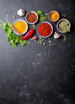 Indian food cooking background. Traditional Indian spices and ingredients. Curry, turmeric, cardamom, garlic, pepper, fresh cilantro, cinnamon. Preparing exotic meal. Top view, space for text