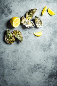 Fresh oysters, lemon wedges. Rustic stone background. Opened fresh raw oysters. Top view. Copy space. Oyster bar. Seafood. Oysters concept. Party food. Space for text. From above