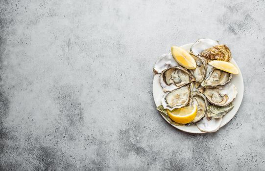 Close-up of half dozen of fresh opened oysters and shells with lemon wedges on a plate, top view, grey rustic concrete background, space for text. Delicacy oysters for snack, lunch .