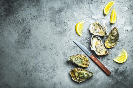 Fresh oysters on ice, knife, lemon wedges. Rustic stone background. Opened fresh raw oysters. Top view. Copy space. Oyster bar. Seafood. Oysters concept. Party food. Space for text. From above